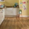 Karndean Van Gogh Classic Oak -Flooring Specialty Store Karndean VGW86T Classic Oak large