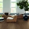 Quickstep Capture Chic Walnut -Flooring Specialty Store SIG4761 Interior01 Site